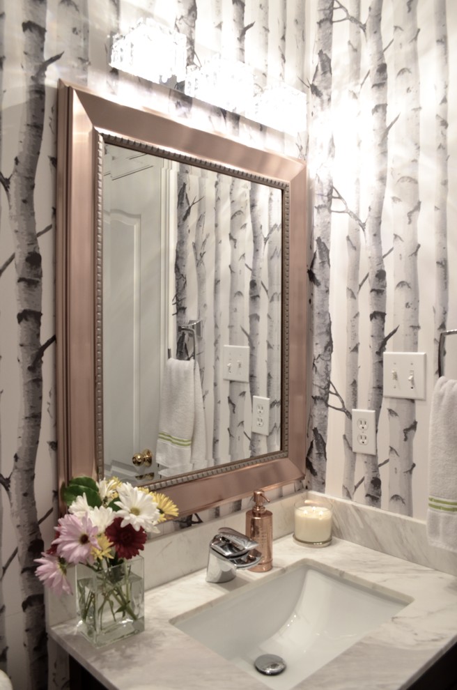 Inspiration for a transitional home design remodel in Toronto