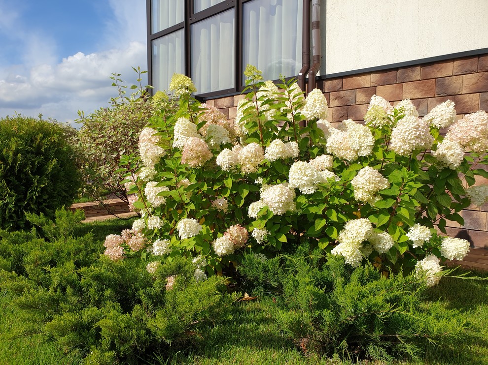 Проект участка с террасированием.