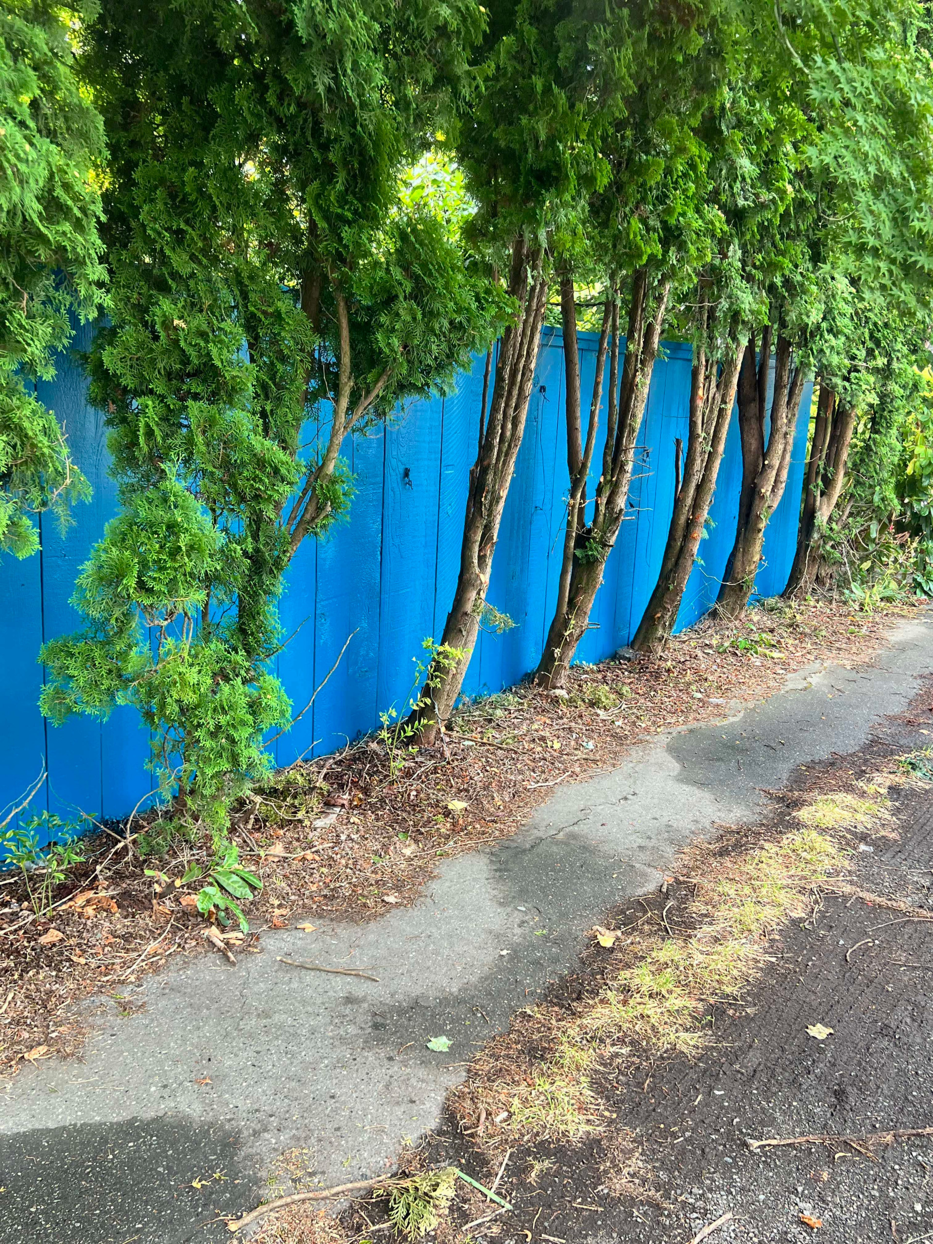 Exterior House Painting