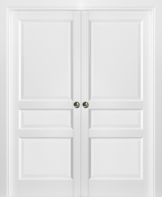 French Double Pocket Doors Lucia 31 Matte White Closet Door French Double Pocket Doors 60 X 80 Frames Lucia 31 Matte White Closet
