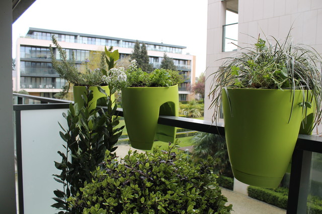 Dublin balcony garden trendy-have