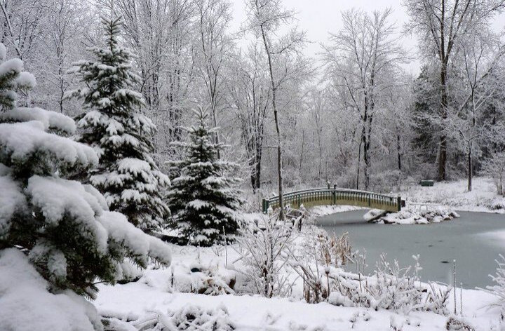 Winter Landscape at the Botanical Gardens