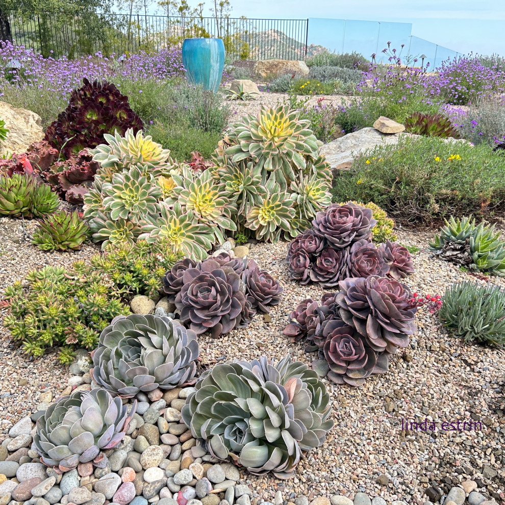 Succulent Tapestry