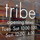 tribe contemporary rugs