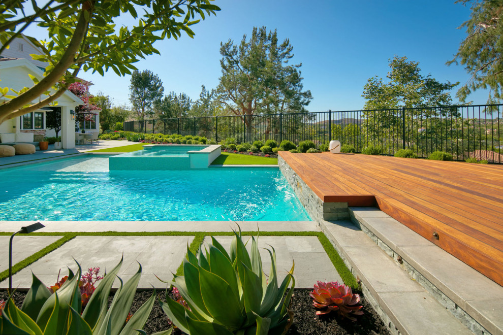 Contemporary Backyard