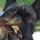 webuser_109755041