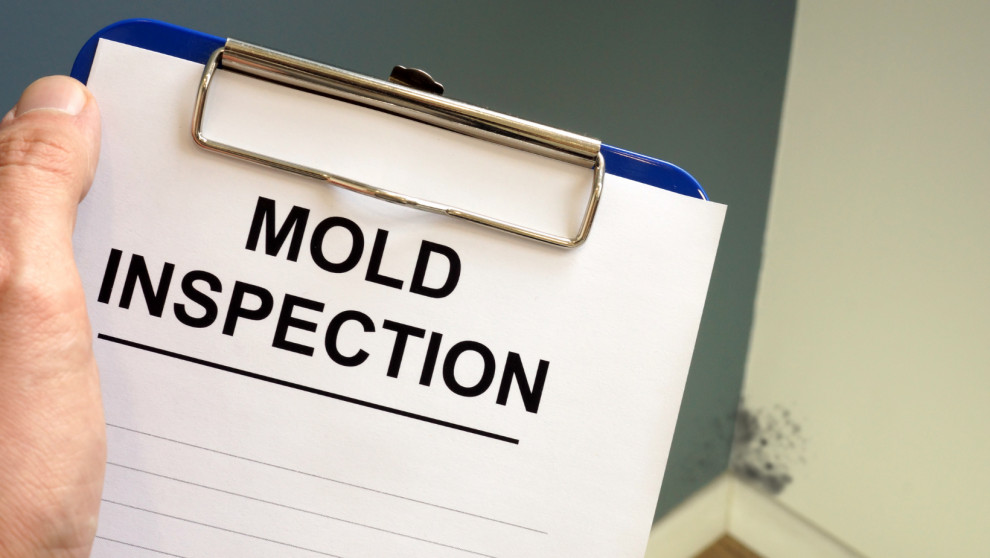 General Contractor Mold Inspection