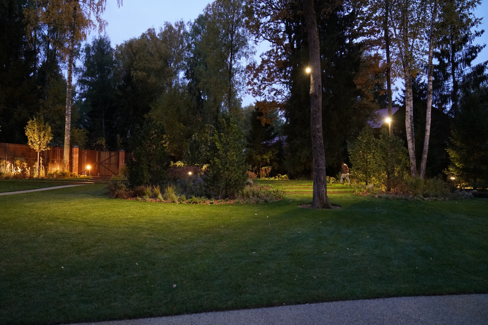 Круговорот  цвета. Дубровка 2021