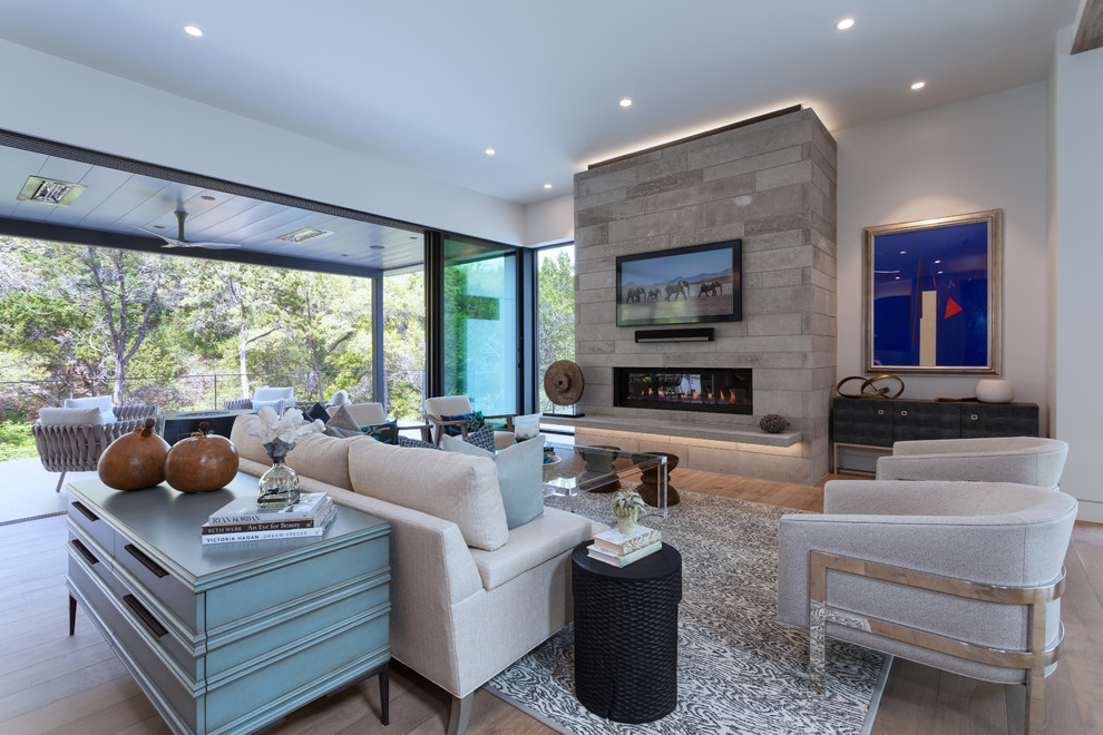 Trendy living room photo in Austin