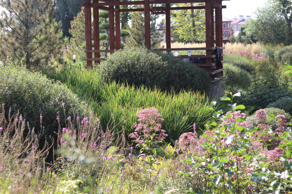 WB Берег пруда (август)