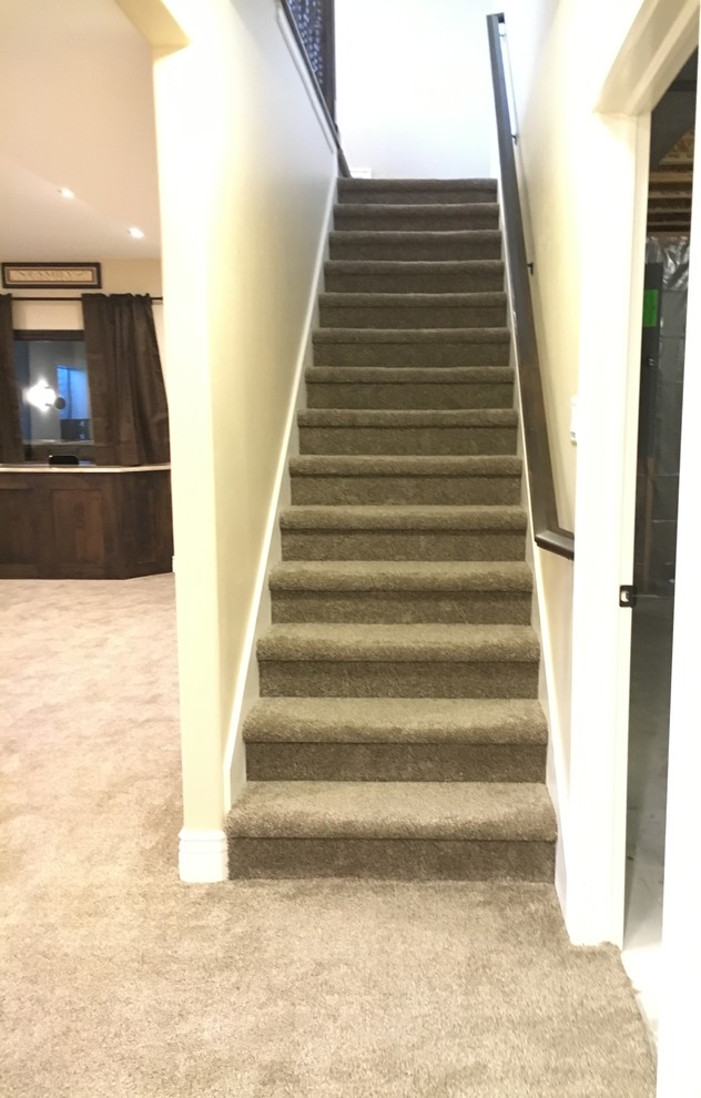 Mid-sized transitional carpeted straight staircase photo with carpeted risers
