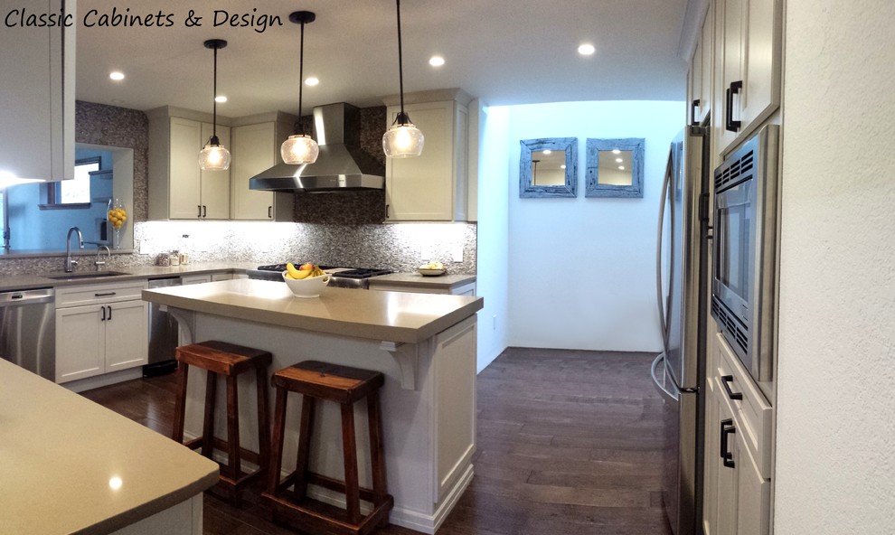 Dark wood floor kitchen photo in Denver with recessed-panel cabinets, white cabinets and stainless steel appliances