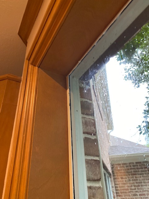 BIG Picture Window Replacement