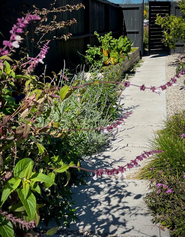 Стильный дизайн: большой солнечный засухоустойчивый сад на переднем дворе в стиле фьюжн с садовой дорожкой или калиткой, хорошей освещенностью и покрытием из гравия - последний тренд