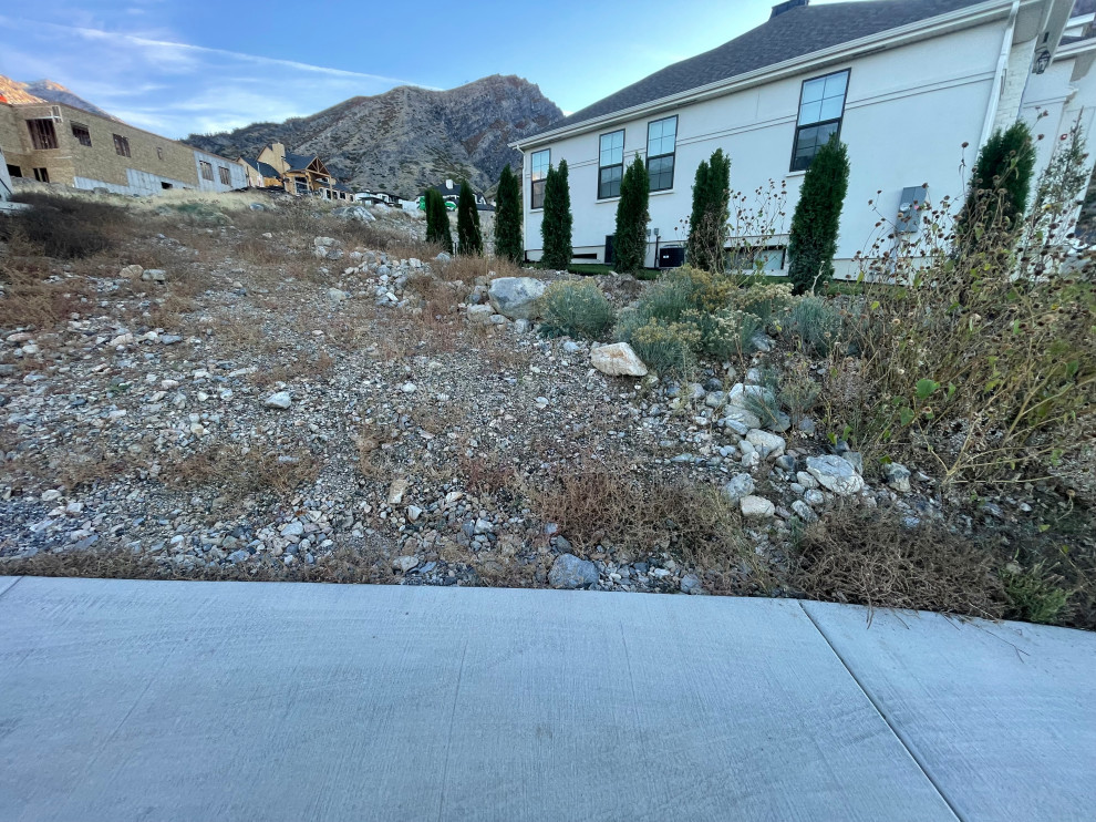 Alpine Landscape Build