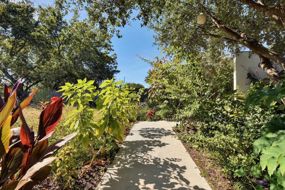 Design ideas for a transitional landscaping in Austin.