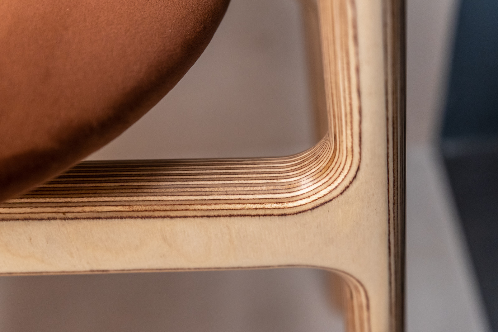 Тропическая кухня под цветком протеи