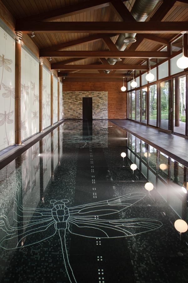 Дом со стрекозами