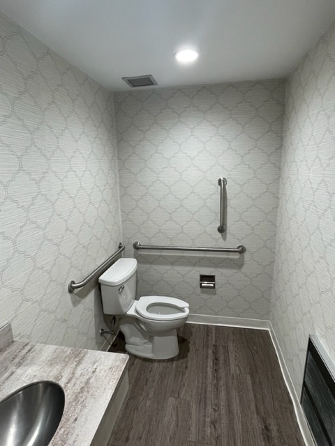 New Handicap Bathroom Railings With New Sink
