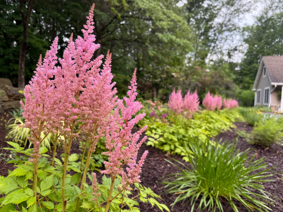 Planting Design