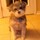heilla_lain