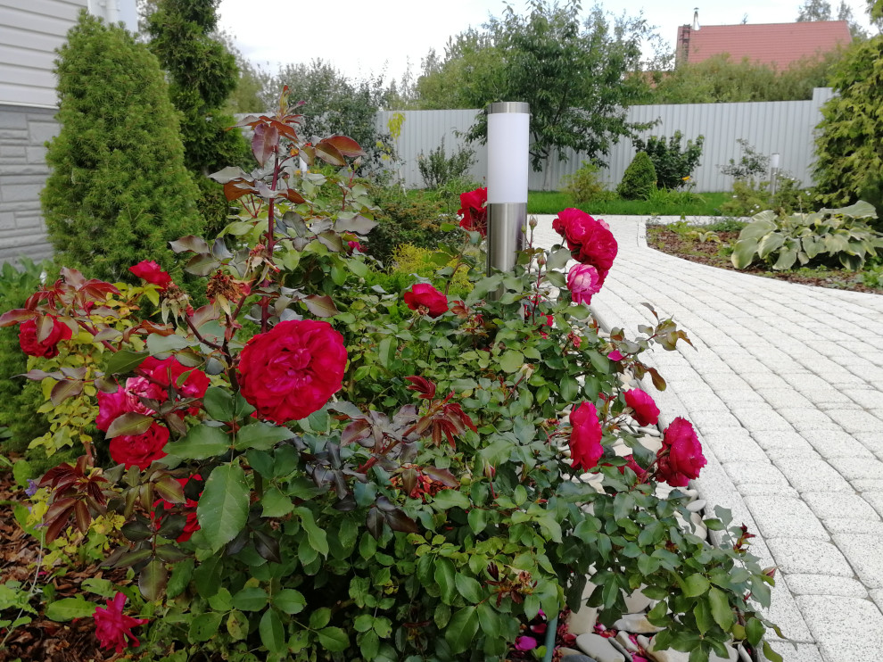 Красное Село