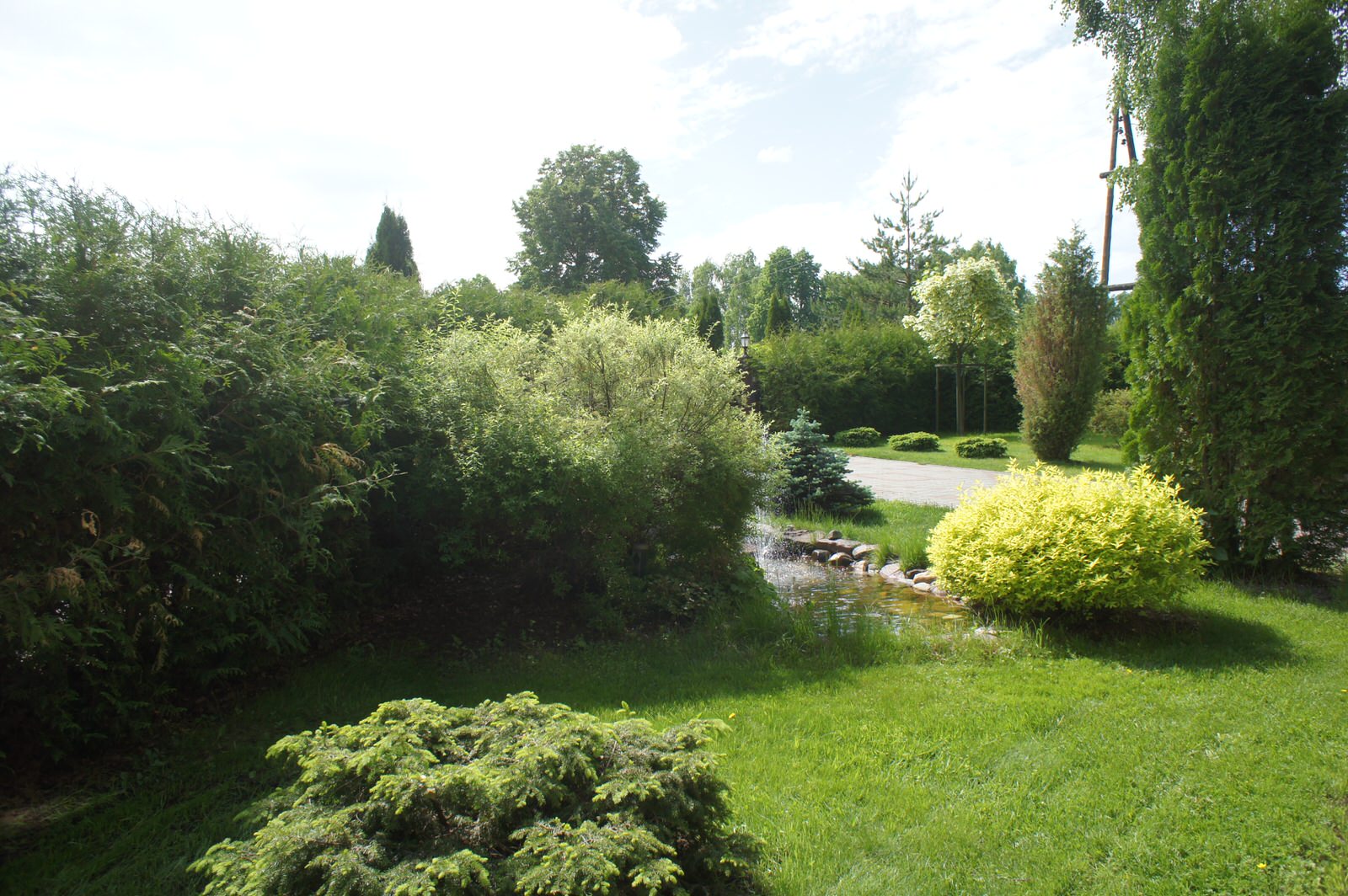 Деревенский сад