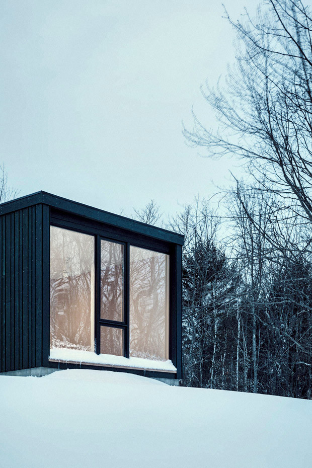 Réalisation d'une façade de maison verte minimaliste en bois et planches et couvre-joints à un étage avec un toit plat, un toit en métal et un toit noir.