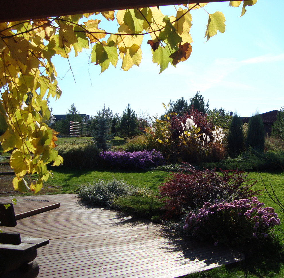 "Сад солнечного ветра"