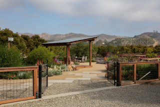 Yard of the Week: Relaxing Retreat That Delights the Senses (14 photos)