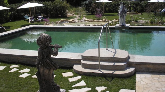BioNova Natural Swimming Pools - International swimming-pool-and-hot-tub