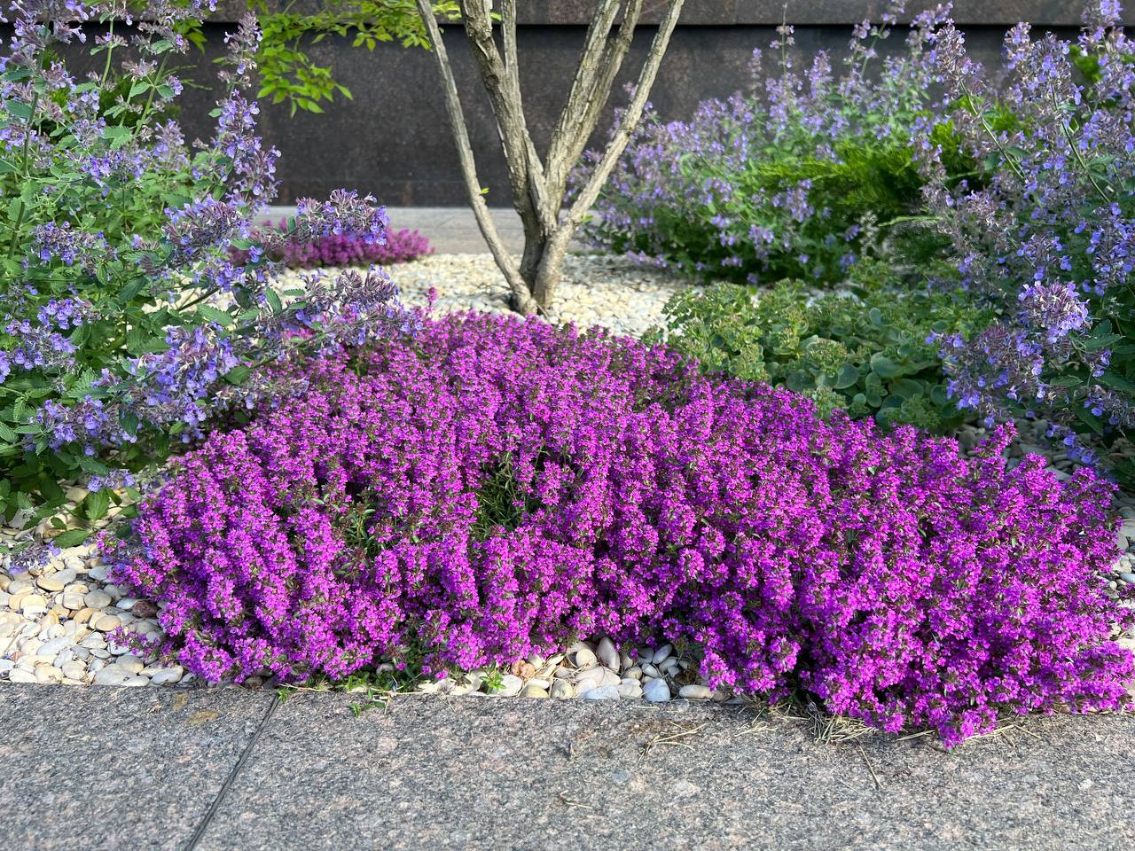 Классика вне времени