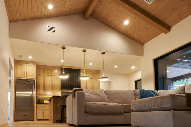 Black Contemporary Farmhouse farmhouse-living-room
