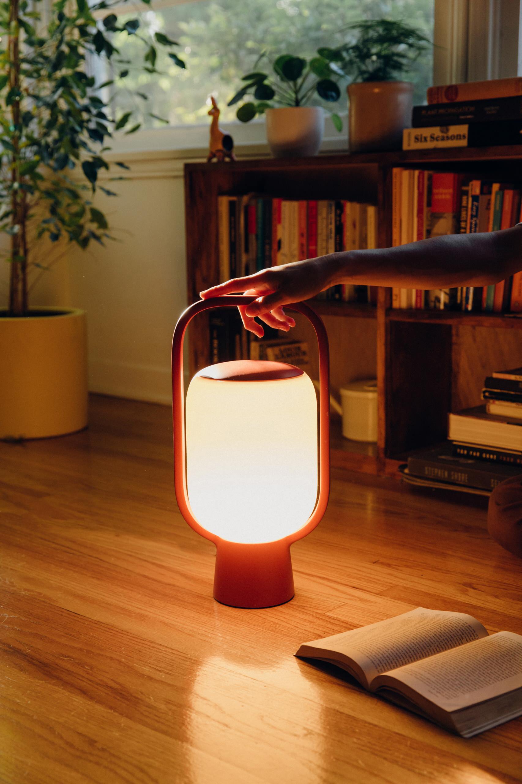 アート・デザイン・音楽 DETAIL IN CONTEMPORARY LIGHTING DESIGN Detail in Contemporary Lighting Design: Entwistle, Jill