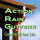 Action Rain Gutters