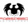 Fabspeed Motorsport