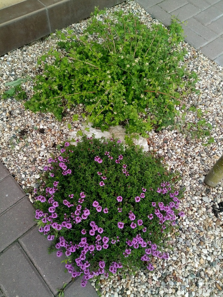 Зелёное удовольствие