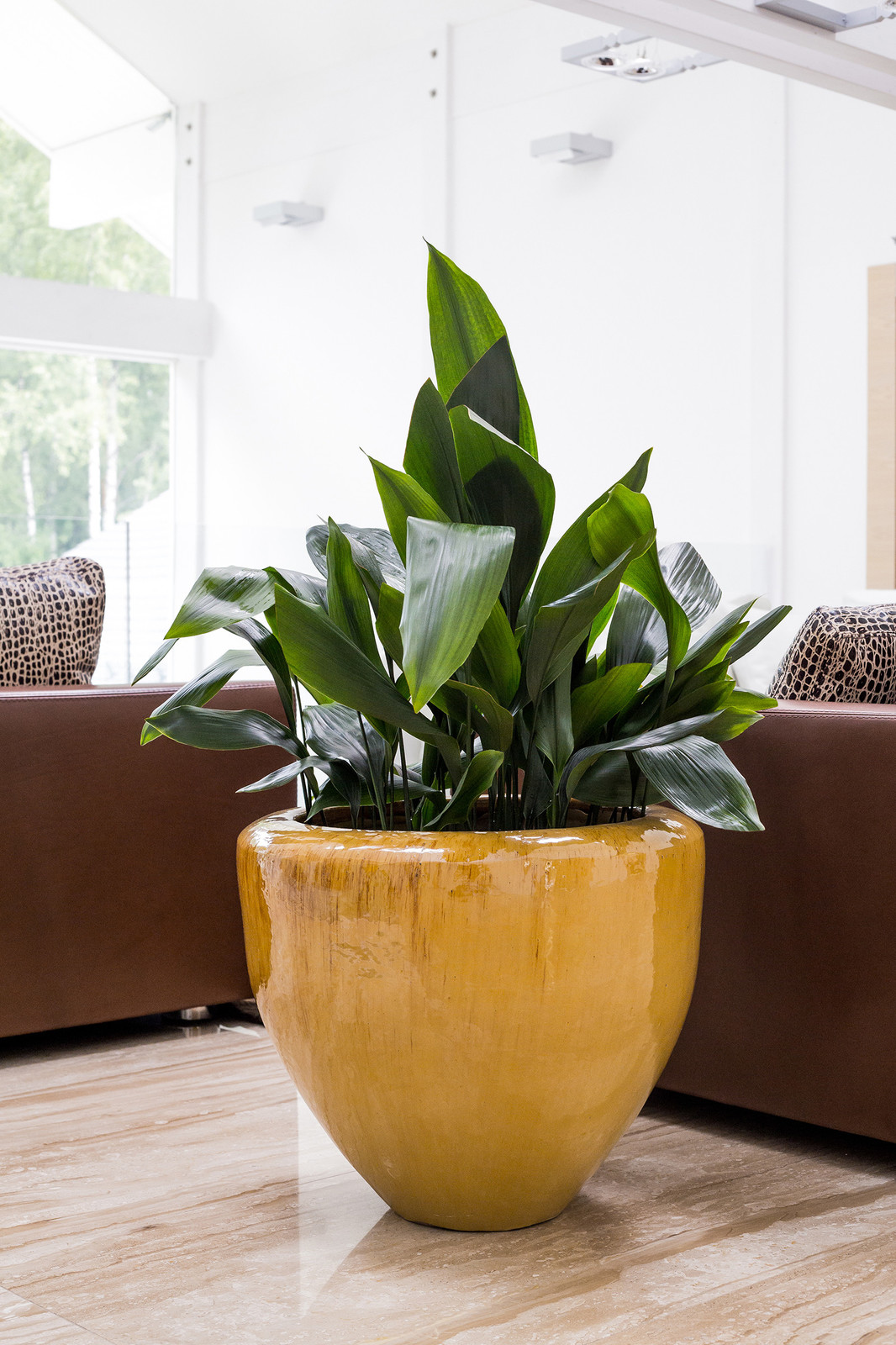 Частный интерьер, загородный дом