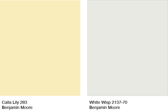 Cream - Light Pastel Yellow Solid Color Coordinates with Valspar