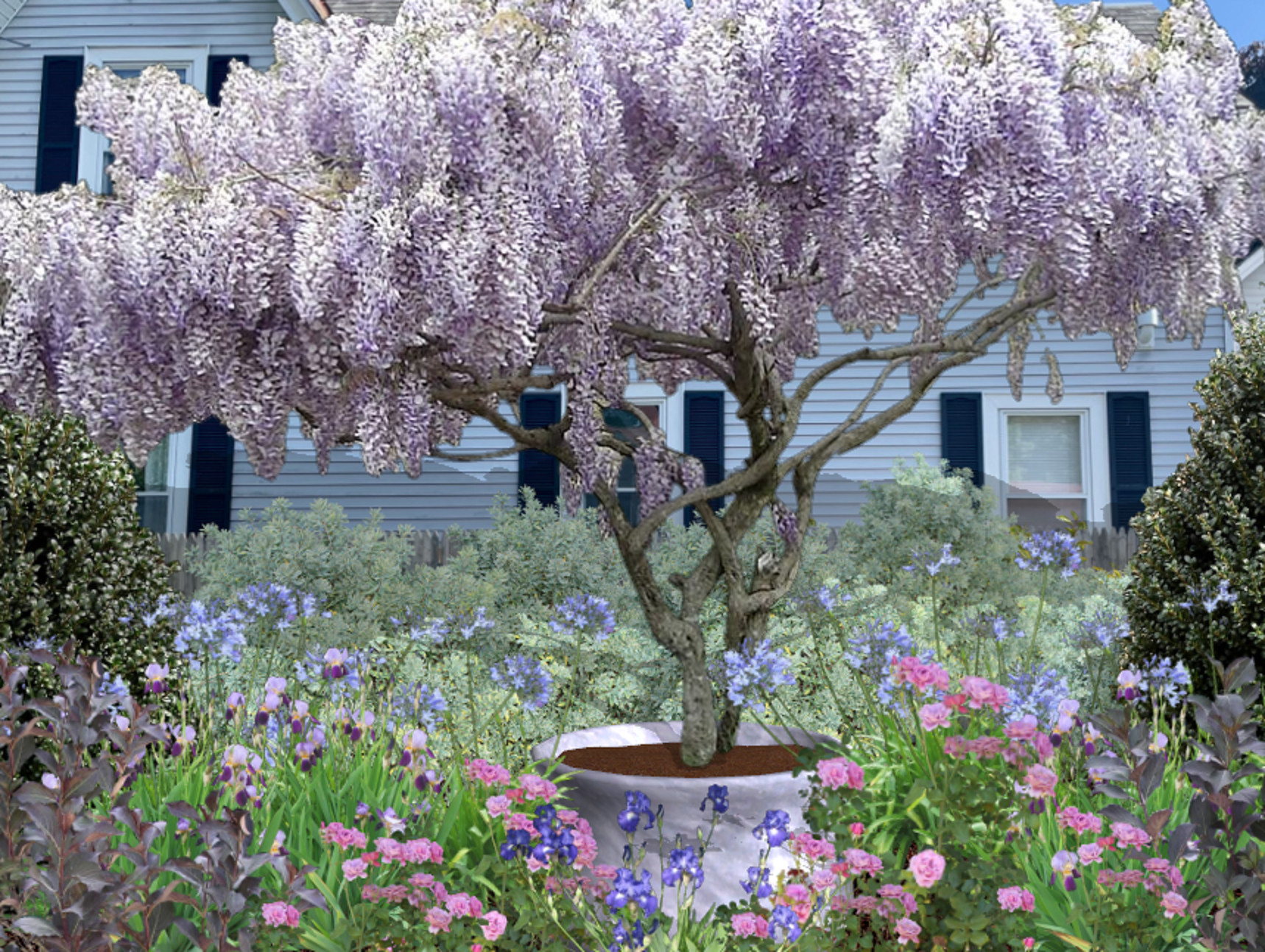 Cottage Gardens