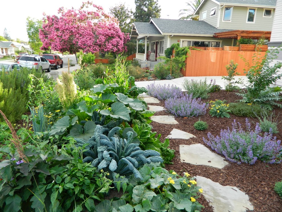 Photo of a modern garden in San Luis Obispo.