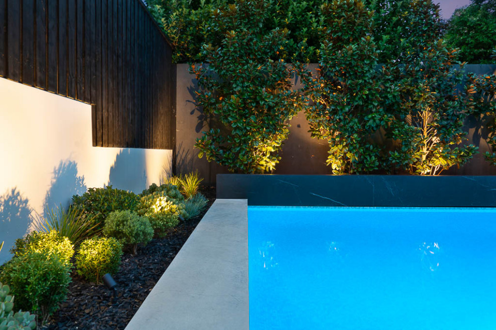 Ejemplo de piscina actual grande rectangular en patio trasero con paisajismo de piscina, privacidad y adoquines de hormigón