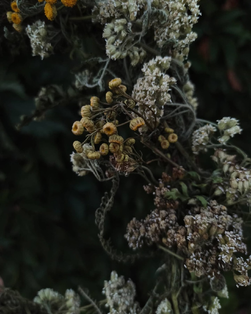 Декор из натуральных материалов