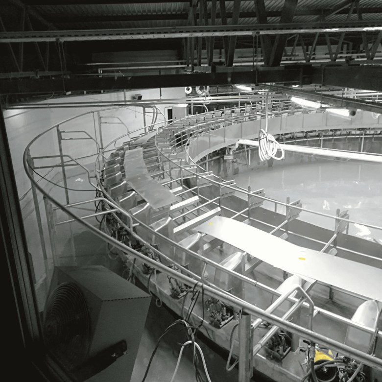 Полы на молочном производстве