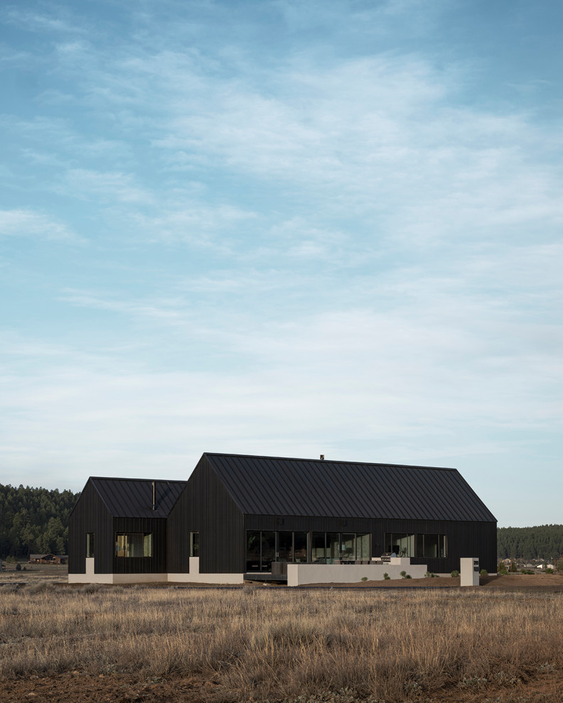 Réalisation d'une façade de maison noire champêtre en panneau de béton fibré et planches et couvre-joints de taille moyenne et de plain-pied avec un toit à deux pans, un toit en métal et un toit noir.