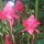 Home and Garden spaces