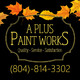 A Plus Paint Works