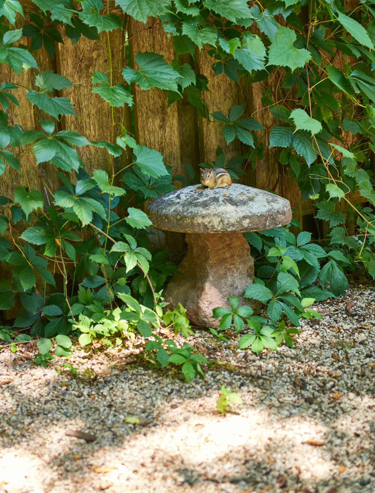 Rustic Backyard Landscape - Cedarburg, WI