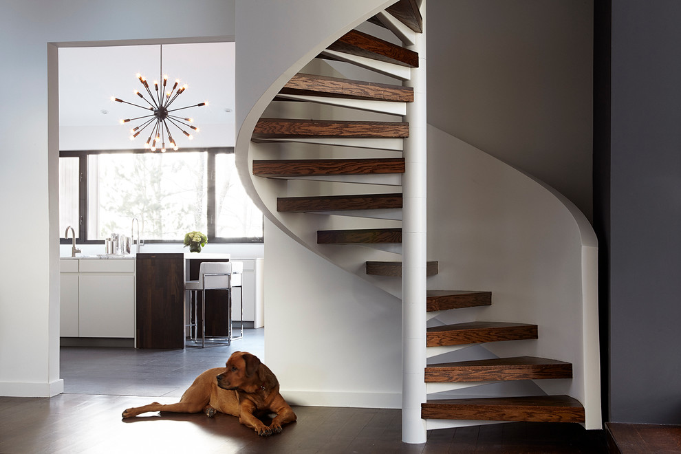 Design ideas for a mid-sized modern wood spiral staircase in New York with open risers.