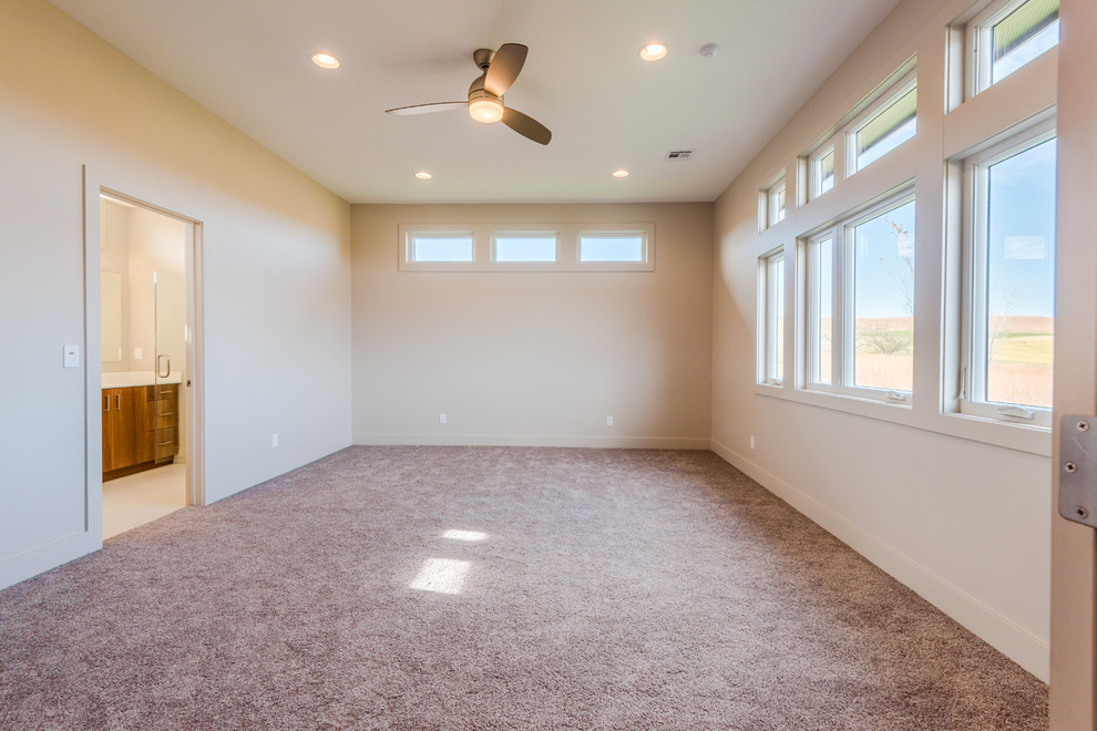 Large transitional master carpeted home design photo with gray walls